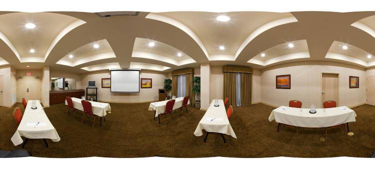 佛罗伦萨95号州际公路和20号州际公路市民中心智选假日酒店(Holiday Inn Express & Suites Florence I-95 & I-20 Civic Ctr)图片