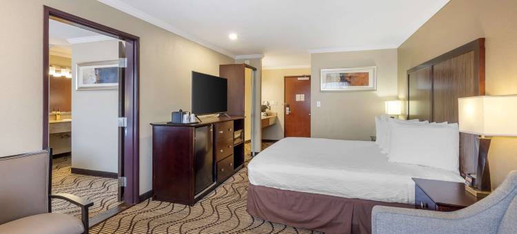 兰花贝斯特韦斯特优质套房酒店(Best Western Plus Orchid Hotel  Suites)图片