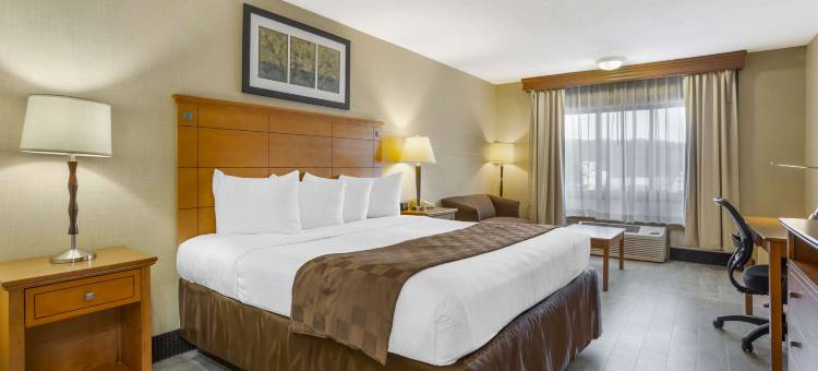 丹伯里/伯特利贝斯特韦斯特酒店(Best Western Danbury/Bethel)图片