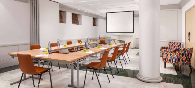 马德里普拉多大道NH典藏酒店(NH Collection Paseo del Prado)图片