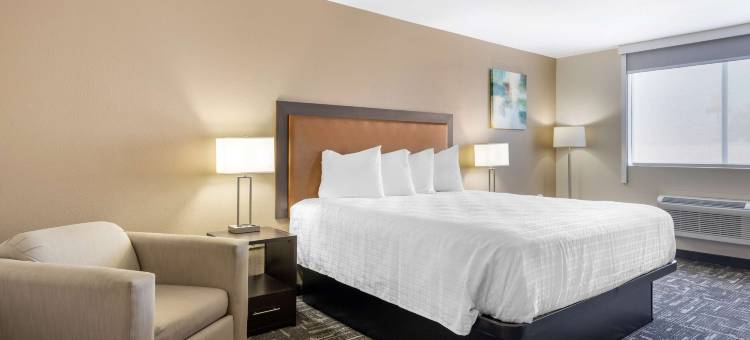 布斯特贝斯特韦斯特酒店(Best Western Post Inn)图片