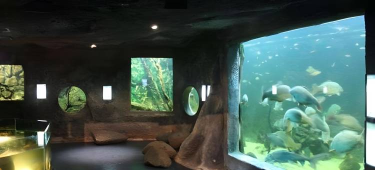 游乐园 自然度假村(Terres de France - Natura Resort Pescalis)图片