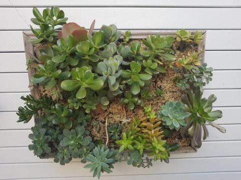 Twenty on Lake Hotel Overview