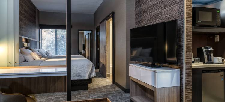 斯普林代尔锡安国家公园SpringHill Suites酒店(SpringHill Suites Springdale Zion National Park)图片