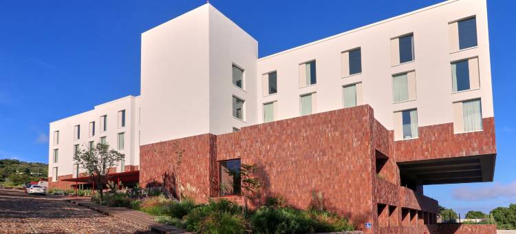 圣米格尔德阿连德阿尔博尔酒店，希尔顿启缤精选(Albor San Miguel de Allende, Tapestry Collection by Hilton)图片