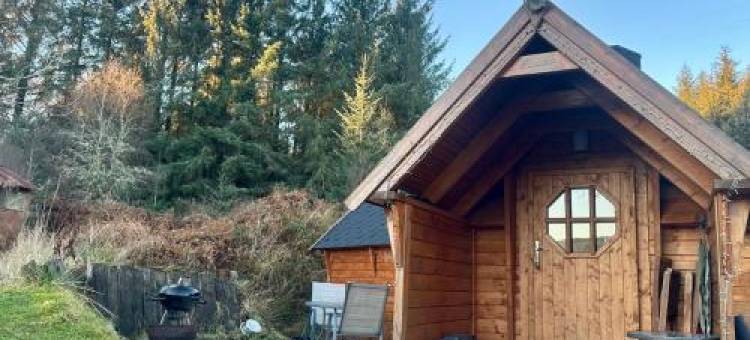 The Nest Glamping Pod图片