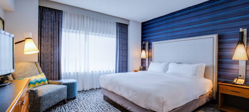 芝加哥-唐纳斯格罗夫希尔顿逸林套房酒店&会议中心(DoubleTree Suites by Hilton & Conference Center Chicago - Downers Grove)图片