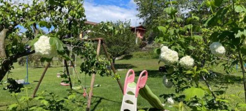 BB10 奥亚西酒店(BB10 Oasi)图片