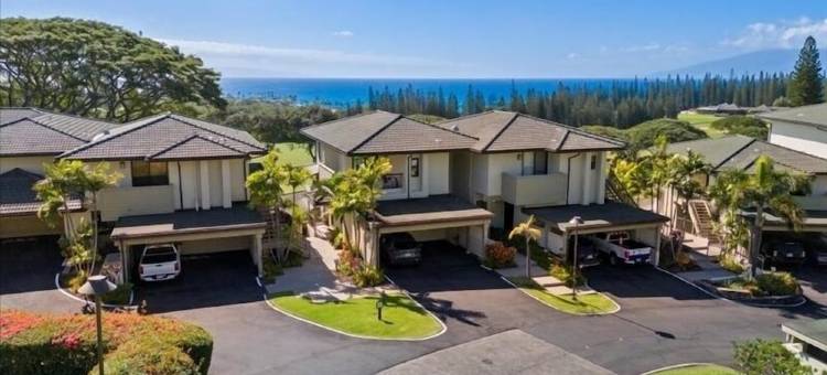 Walk to Kapalua Bay Beach, New 3Br & 4BA Bespoke Golf Villa, Ocean & Golf Views图片