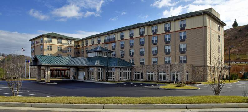 罗阿诺克希尔顿花园酒店(HIlton Garden Inn Roanoke)图片