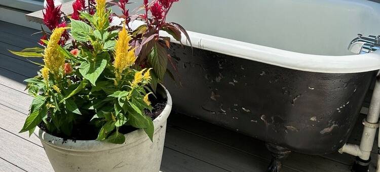 Waterfront Cottage 5 minutes to Mount Wachusett, Dock, Pet Friendly, Kayaks图片