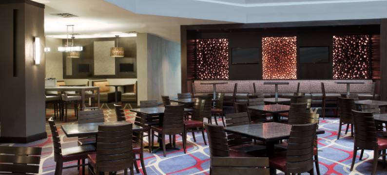 杜勒斯机场希尔顿安泊套房酒店(Embassy Suites by Hilton Dulles Airport)图片