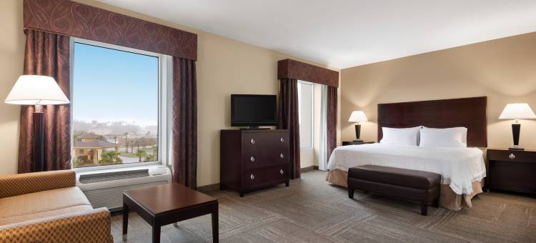 不伦瑞克欢朋套房酒店(Hampton Inn & Suites Brunswick)图片