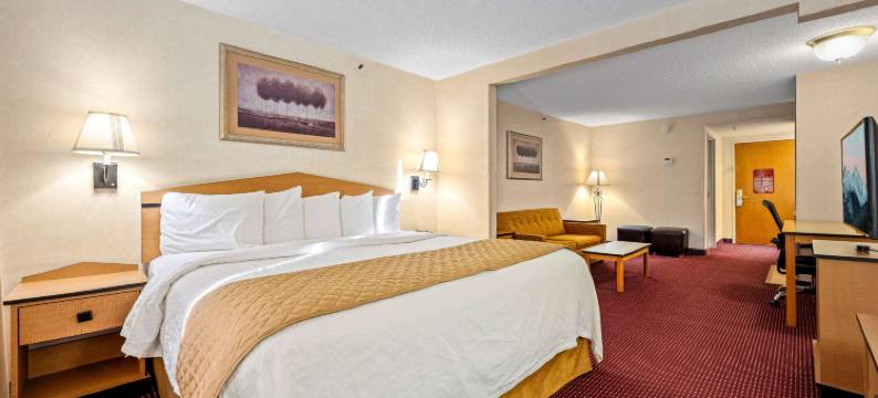 丹佛国际机场美吟套房酒店(AmericInn by Wyndham Denver Airport)图片