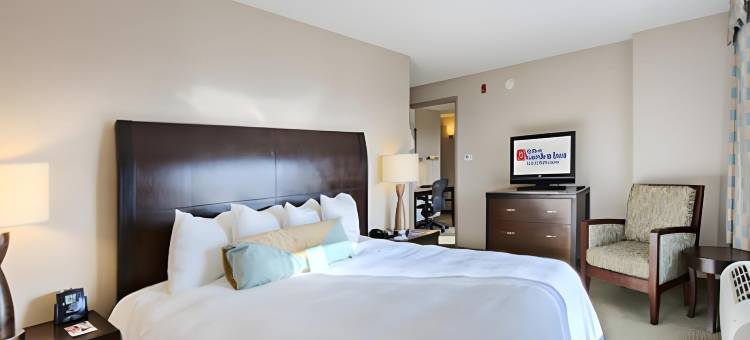 丹佛技术中心希尔顿花园酒店(Hilton Garden Inn Denver Tech Center)图片