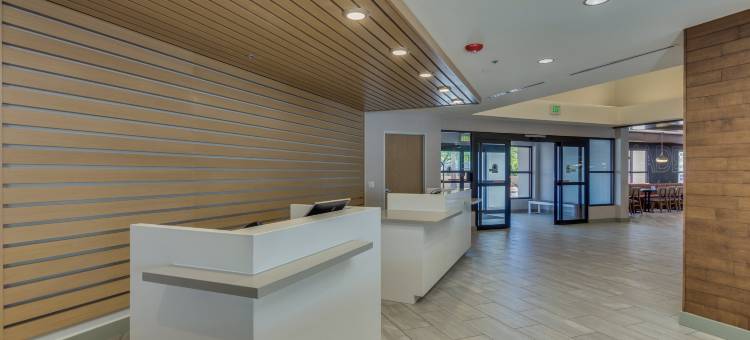 菲尼克斯斯科茨代尔希尔顿逸林酒店(DoubleTree by Hilton Phoenix Chandler)图片