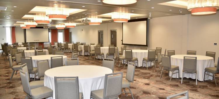 Holiday Inn 温莎(Holiday Inn WINDSOR - WINE COUNTRY by IHG)图片