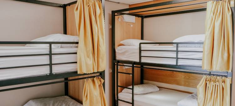 花园巷背包客旅馆(Garden Lane Backpackers)图片