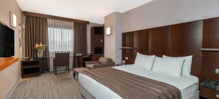 点塔克辛酒店(Point Hotel Taksim)图片