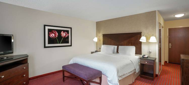 里士满机场欢朋酒店(Hampton Inn Richmond - Airport)图片