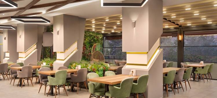 埃尔比斯坦温德姆华美达酒店(Ramada by Wyndham Elbistan)图片