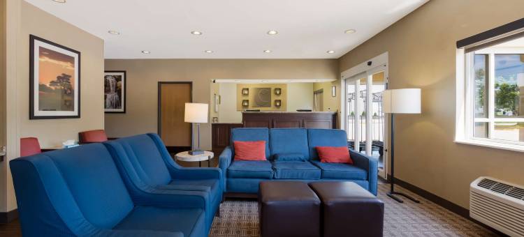 东维奇塔舒适酒店(Comfort Inn East)图片