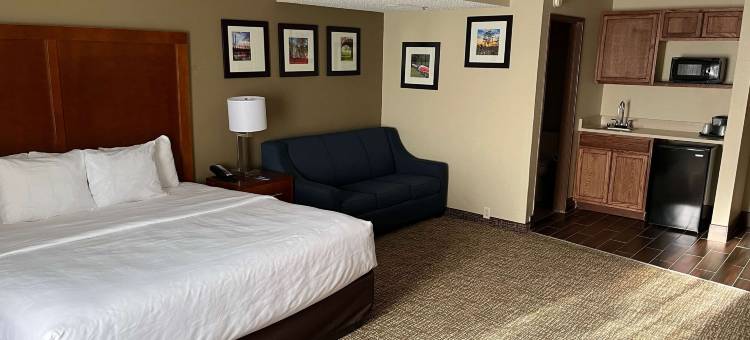 克利尔菲尔蔚景温德姆酒店(Wingate by Wyndham Clearfield)图片