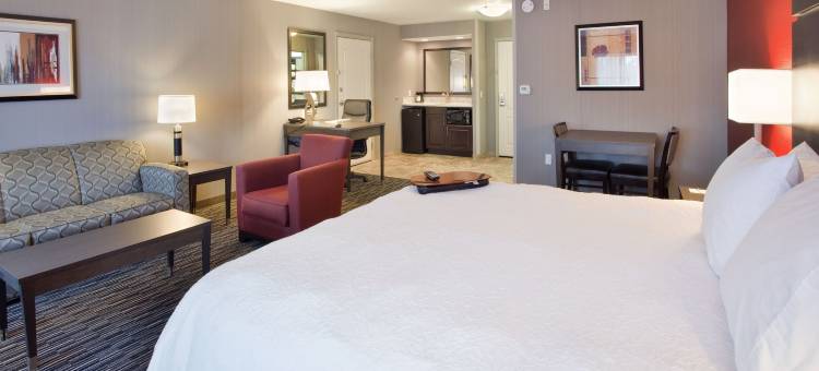 希尔顿欢朋套房酒店-蒂梅丘拉山谷酒郡(Hampton Inn & Suites Temecula)图片