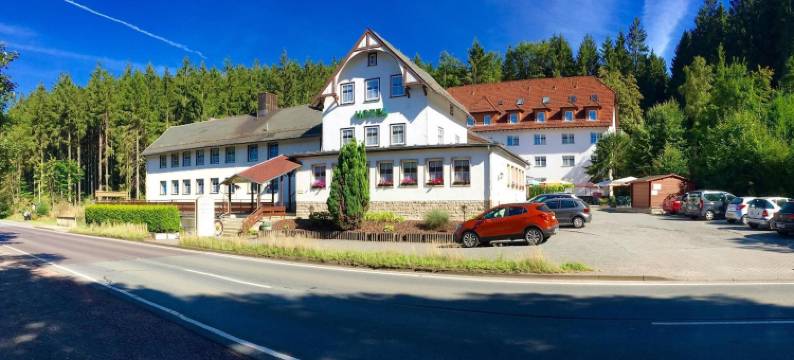 罗德巴赫穆勒酒店(Hotel Rodebachmühle)图片
