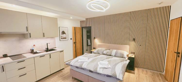 布里涅住宿酒店(Ubytování V Brně - Schodová)图片