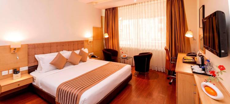 温德姆华美达尼姆拉纳酒店(Ramada by Wyndham Neemrana)图片