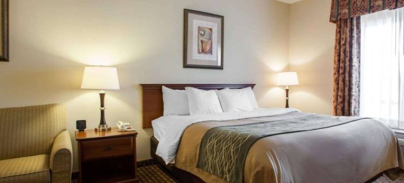 哈里森维尔舒适套房酒店(Comfort Inn & Suites Harrisonville)图片