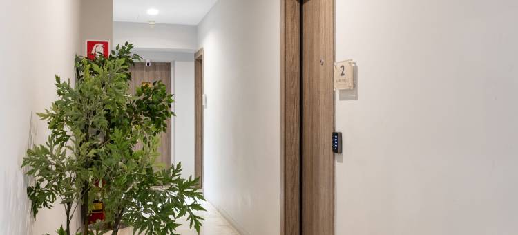 雅典宪法广场生活酒店(Enattica Syntagma Living)图片