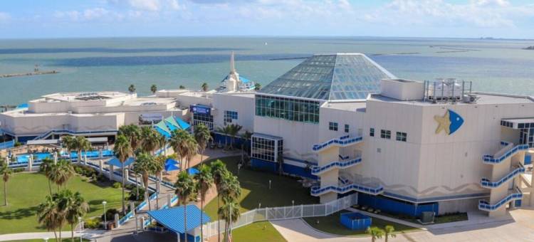 圣体市国际机场贝斯特韦斯特酒店(Best Western Corpus Christi Airport Hotel)图片