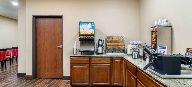 萨莱纳北舒适套房酒店(Comfort Inn & Suites Salina North)图片