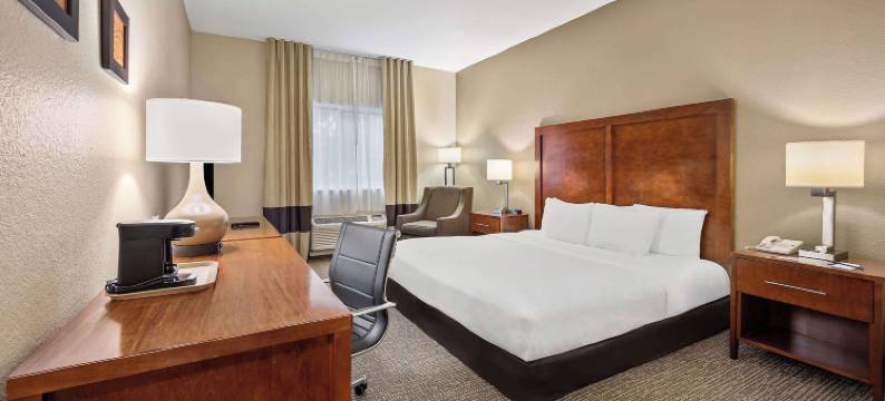 迈尔斯堡舒适酒店(Comfort Inn Fort Myers Northeast)图片