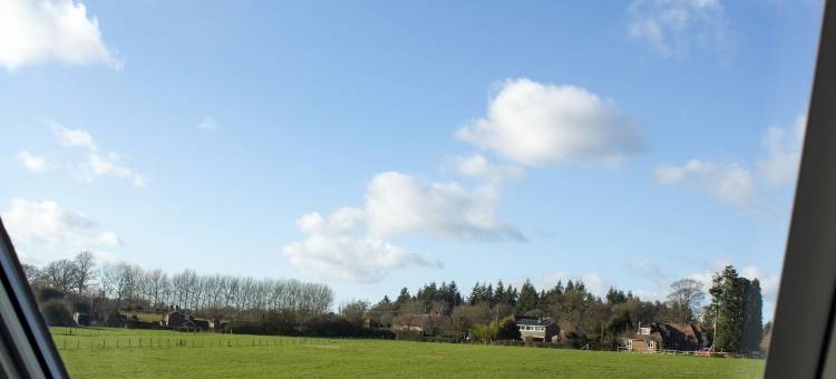 新森林宾馆酒店(New Forest Lodge)图片