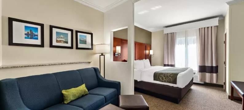 科珀斯克里斯蒂中央舒适套房酒店(Comfort Suites Central)图片