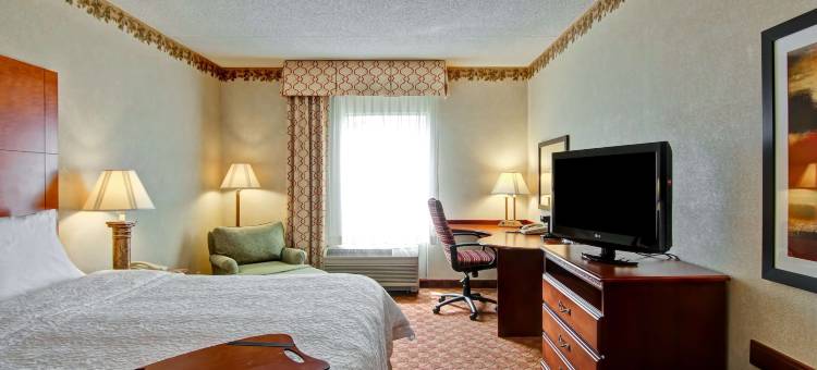 利斯堡欢朋套房酒店(Hampton Inn & Suites Leesburg)图片