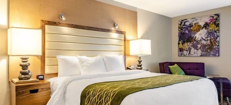 罗利城区舒适酒店(Comfort Inn Raleigh Midtown)图片