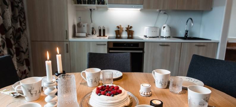 罗瓦涅米诺迪卡设计住宅酒店(Nordica Design Residence Rovaniemi)图片