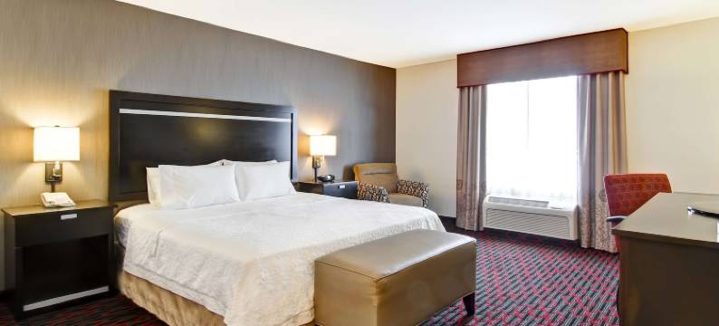 雷德迪尔希尔顿欢朋套房酒店(Hampton Inn & Suites by Hilton Red Deer)图片