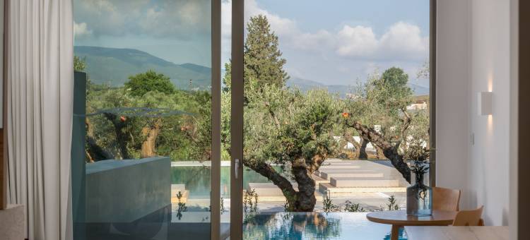 察米斯桑特套房酒店 - 限成人(Tsamis Zante Suites - Adults Only)图片