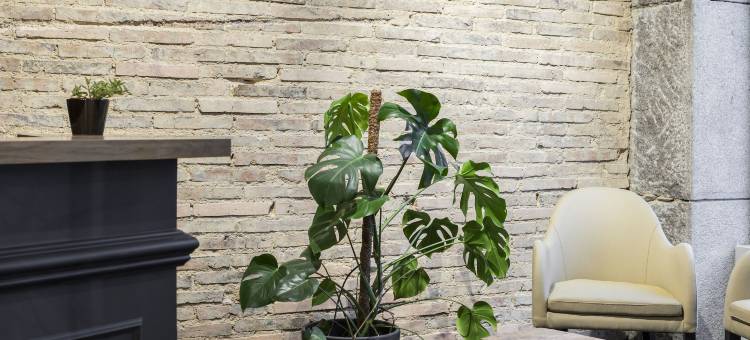 曼恩酒店(Logis Hotel du Maine)图片