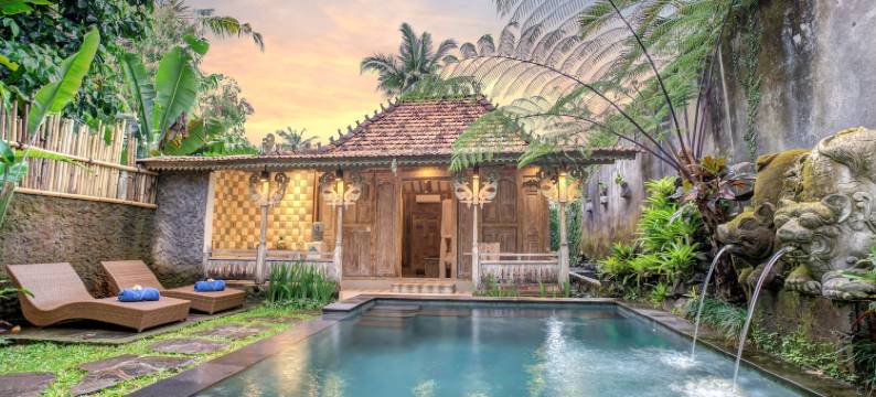 普拉蒂维乌布别墅(Pratiwi Ubud Villa)图片
