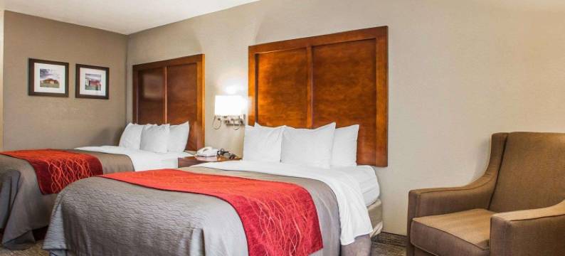 南马歇尔镇舒适酒店(Comfort Inn Marshalltown South)图片