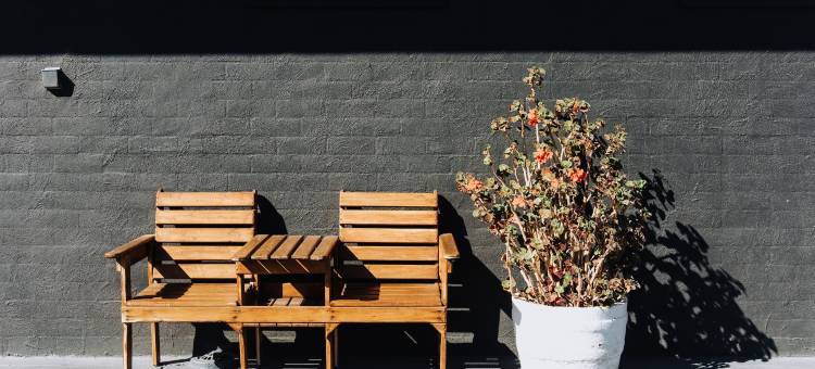 塔姆沃思市汽车旅馆(Tamworth City Motel)图片