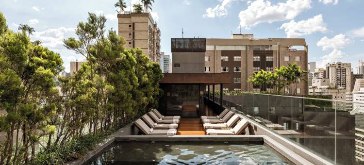 法萨诺贝洛地平线酒店(Hotel Fasano Belo Horizonte)图片