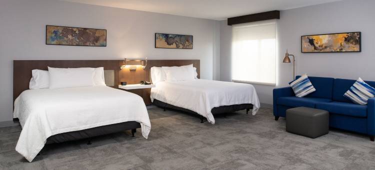 巴吞鲁日机场希尔顿花园酒店(Hilton Garden Inn Baton Rouge Airport)图片