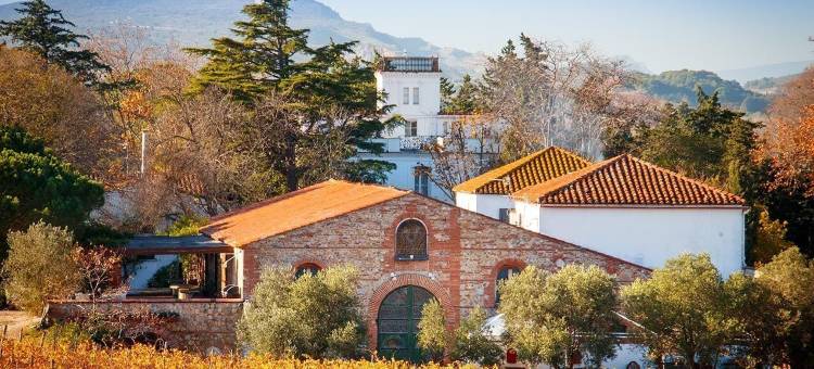蒙蒂阿尔酒店(The Originals City, Hôtel Mondial, Perpignan)图片